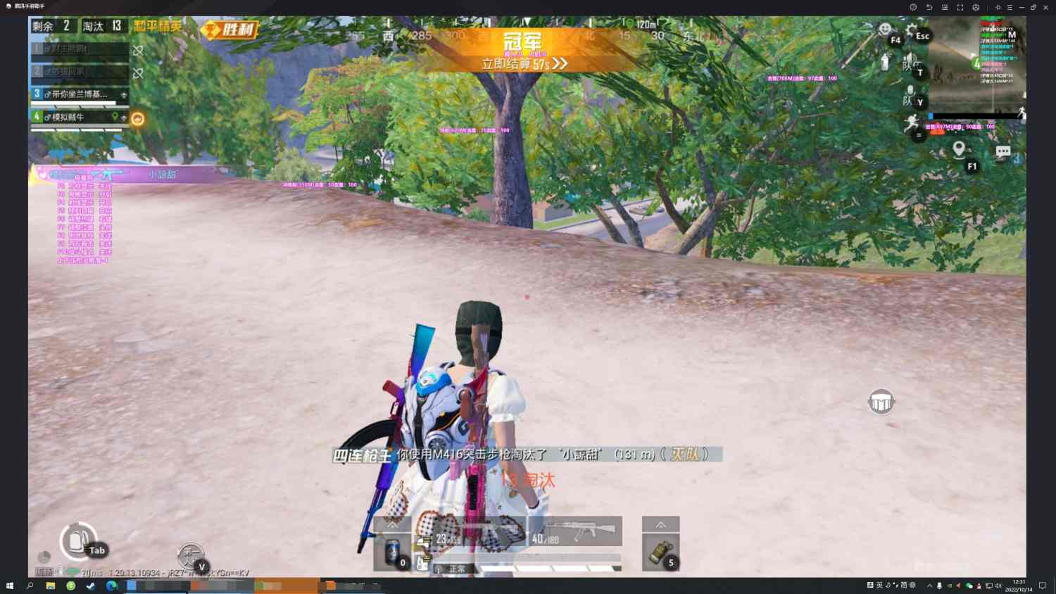 暗影和平精英外挂